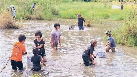 休耕田で水生昆虫学習 子どもら30人参加 与那国駐屯地アヤミハビル館 全国郷土紙連合