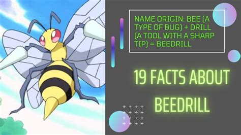 #0015: 19FactsAbout#Beedrill #Name_Origin:Bee(a type of bug)+Drill(a ...