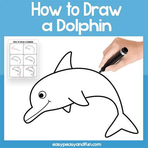 Dolphin Drawing Step By Step Easy - delantalesybanderines