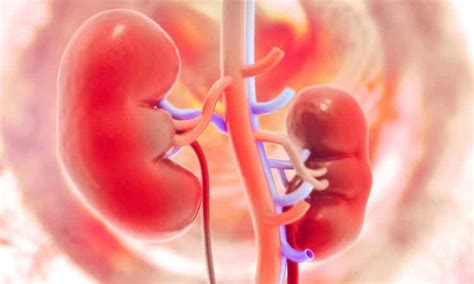 Insufici Ncia Renal Sintomas Causas E Tratamento