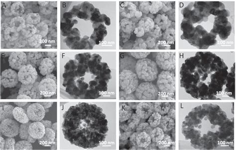 Fesem And Tem Images Of Znmn O Nanorings Prepared With Different Metal