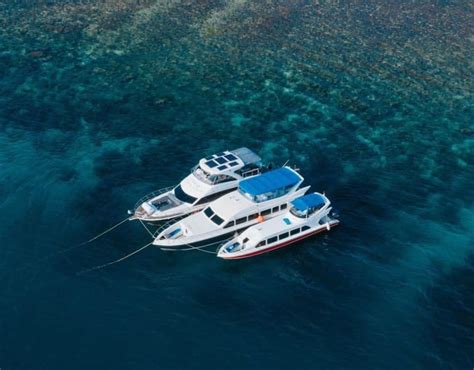 Sewa Kapal Labuan Bajo Phinisi Heaven Komodo