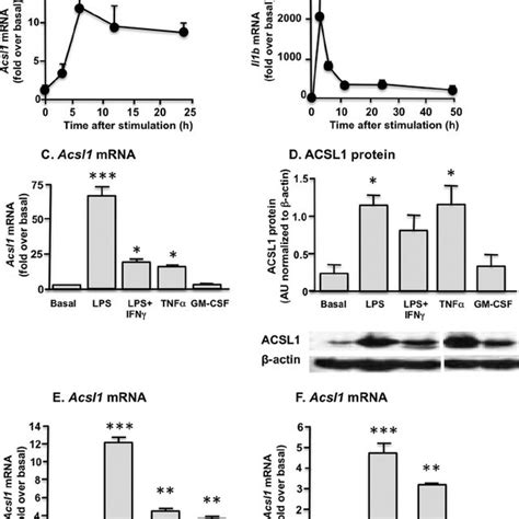 Lps Stimulates Multiple Pathways In Macrophages A Macrophage