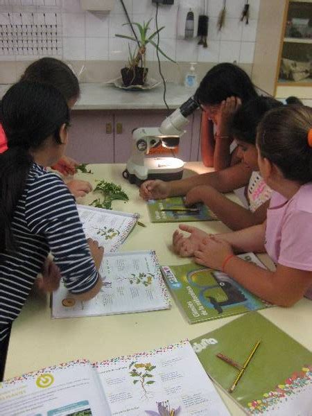 Institut Escola Coves D En Cimany Barcelona Medi Natural A T