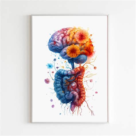 amazoncom gut brain watercolor art print vagus nerve posters