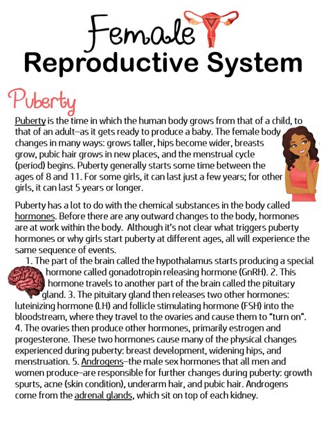 Female Reproductive System Puberty Anchor Chart Jungle Academy