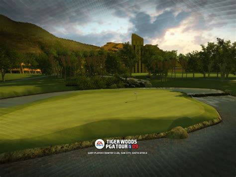 Artworks Tiger Woods Pga Tour