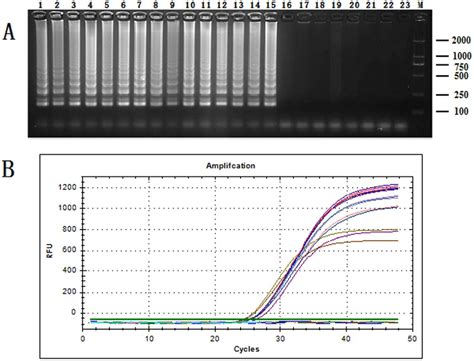 The Specificity Detection With Qualitative A And Quantitative B