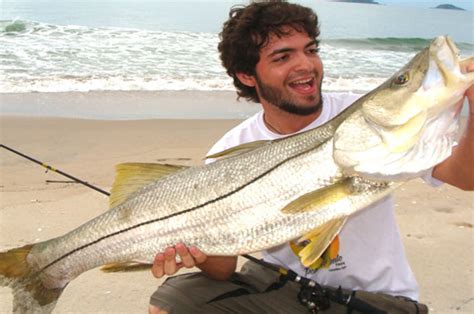 Robalo Peva Archives Pesca Na Praia