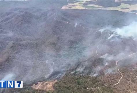 Incendios Forestales Han Afectado 2520 Hectáreas De áreas Protegidas