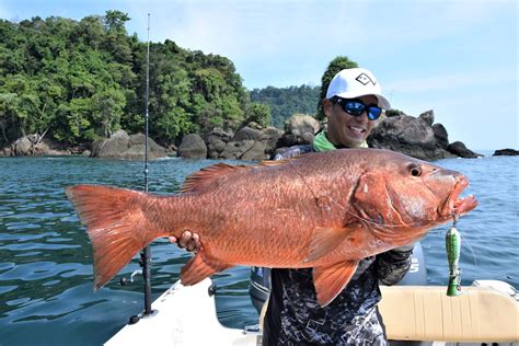 Pesca En Bah A Cupica Colombia Pesca Cristian Vanegas