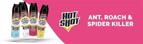 Amazon Hot Shot Ant Roach Spider Killer Kills Insects Indoors