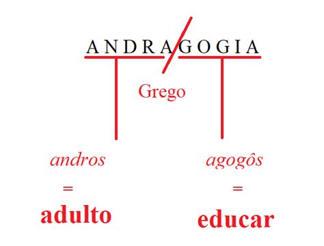 Andragogia O Que E Princ Pios Raleduc