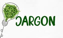 Jargon Definition Meaning Use In A Sentence