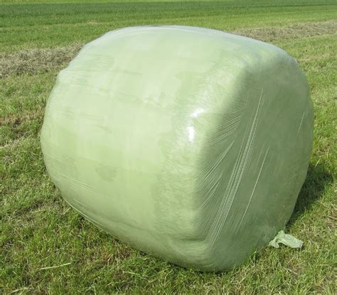 Corn Forage Packaging Type Sack Bag At Best Price In Jetpur ID