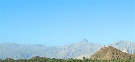 arabic language mission  oman learnoasis