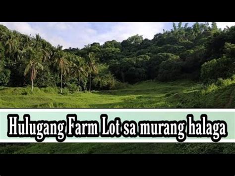 16 A54 Hulugang Farm Lot Sa Murang Halaga YouTube