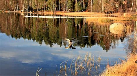 Lohjalla täytyi taas äänestää Myllylammen uimarannan kaupasta