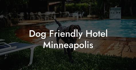 Dog Friendly Hotel Minneapolis - Dog Hotels