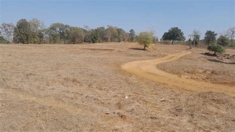 Agricultural Land 157 Guntha For Sale In Murbad Thane REI1236215