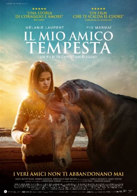 Il Mio Amico Tempesta Film