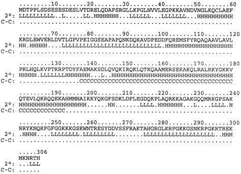 Ebp2 A Human Protein That Interacts With Sequences Of The Epstein Barr Virus Nuclear Antigen 1