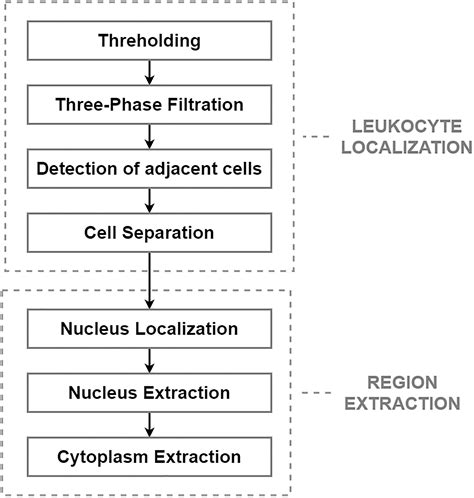 Frontiers Automated Detection Of Acute Lymphoblastic Leukemia From