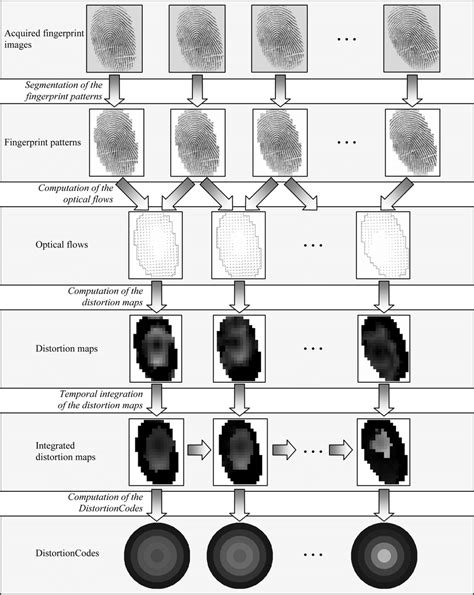 Main Steps Of The Feature Extraction Approach A Sequence Of Acquired