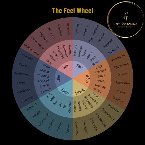 The feel wheel — HelT Coaching : Occupational Coaching for Personal Change and Professional Growth