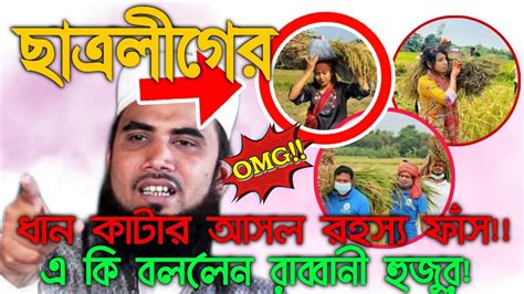 ছাত্রলীগের ধান কাটার আসল রহস্য ফাঁস করে দিলেন রাব্বানী হুজুর😱 না