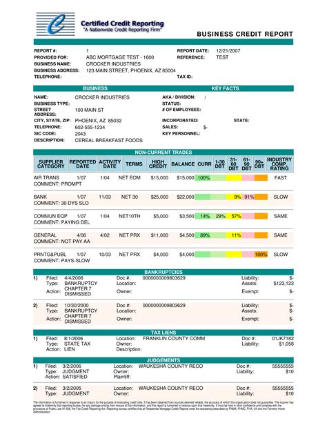 Credit Score Template