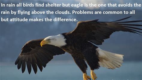 Soar With Eagles Quote Captions Pages