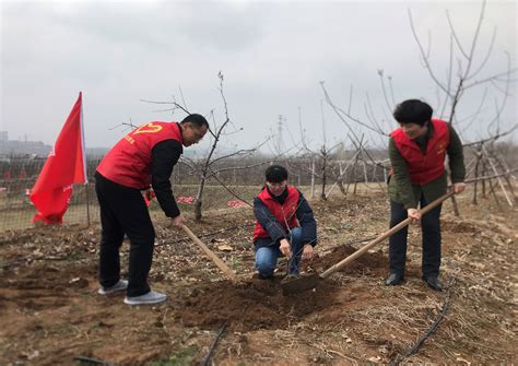 拥抱春天 共植希望 ——国际贸易系开展学雷锋义务植树志愿活动