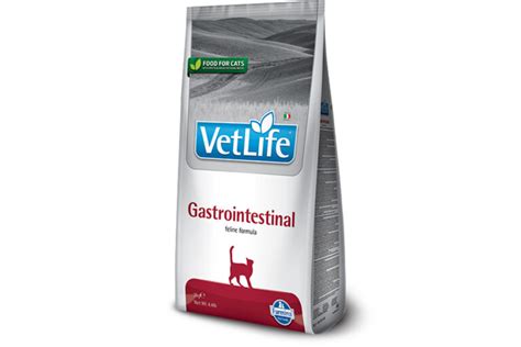 Buy Farmina Vet Life Gastrointestinal Feline Formula Dry Cat Food