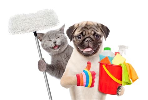 Pet-Safe Home Cleaning Products- The Shot Spot - Dallas, TX