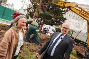 Verde Roma Tornano I Pini A Piazza Venezia Il Sindaco Gualtieri E L