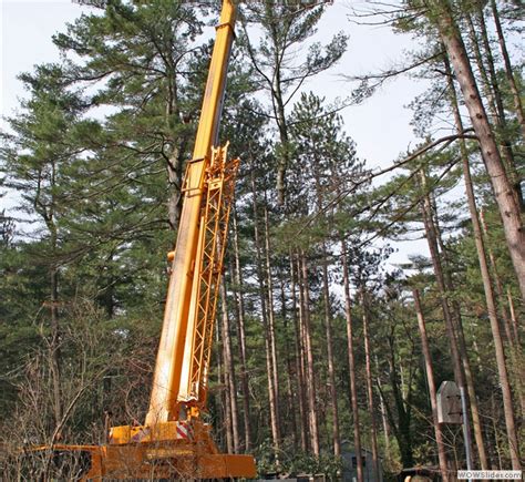 Parkhurst Tree Removal Pruning Millis Ma Brush Chipping Stump