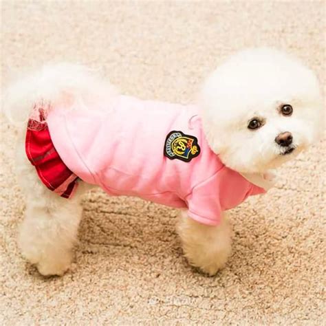 Cute Dog Halloween Costumes Funny Costumes Student Costume Cute