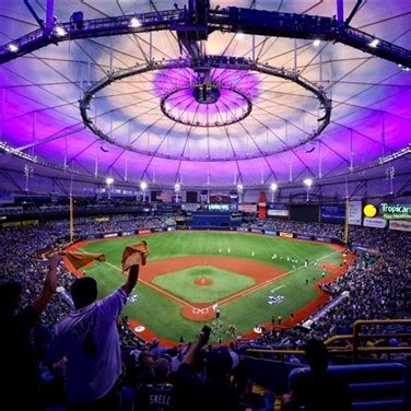 Tampa Bay Rays vs. Arizona Diamondbacks