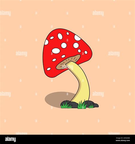 Mushroom Icon Amanita Muscaria Fly Agaric Sign Collection Magic Mushroom Symbol Stock Vector