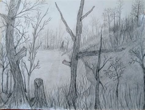 Pencil Sketch, Landscape, Forest - Etsy