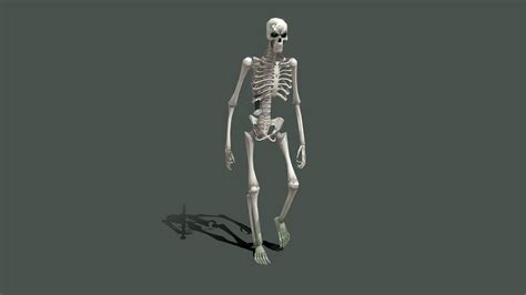 Low Poly Skeleton D Model By Fenixman Sketchfab