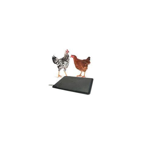 Heating Pad For Chickens at Christian Brown blog