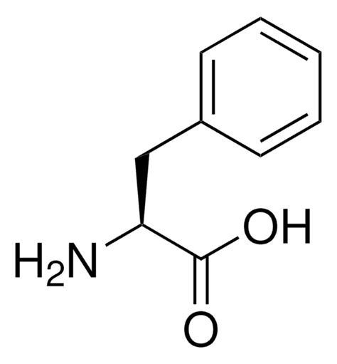 L-Phenylalanine - (S)-2-Amino-3-phenylpropionic acid, L-Phenylalanine