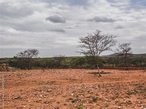 Clima No Sertão Nordestino - Foto de Imagem de uma região rural no sertão do cariri. Conta com a ...