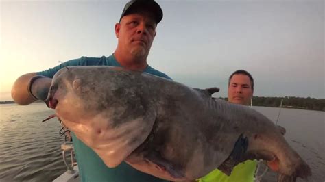 FishinWithFatt Post Spawn Blue Catfishing On The James River YouTube