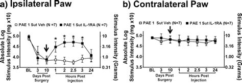 Spinal IL 1β is necessary for PAE induced allodynia following minor