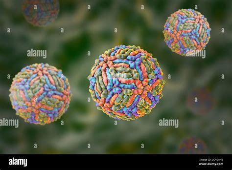 West Nil Viruspartikel Computer Bild West Nil Virus Wnv Ist Bekannt