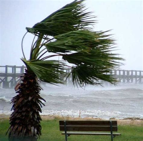 Forti Venti Di Burrasca E Mareggiate Nuova Allerta Meteo Sul Litorale