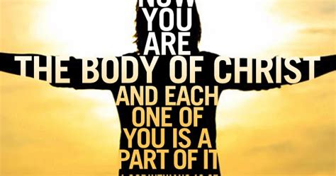 Faith In The Real World 1 Corinthians 12 12 31a One Body Many Parts